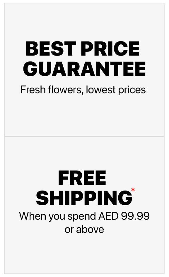 Discount deals delivery Dubai