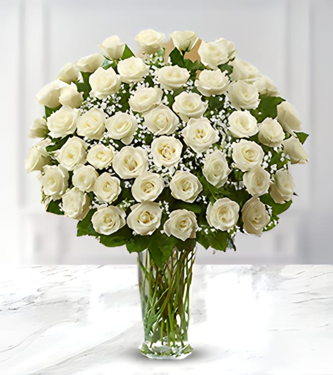 Serene White Roses, SUPER DEALS