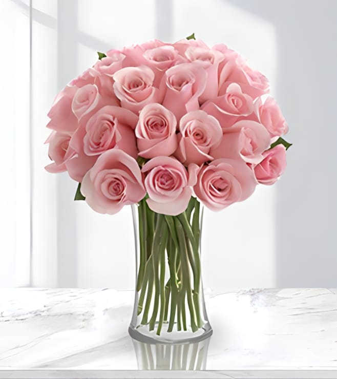 Dreamy Pink roses, SUPER DEALS