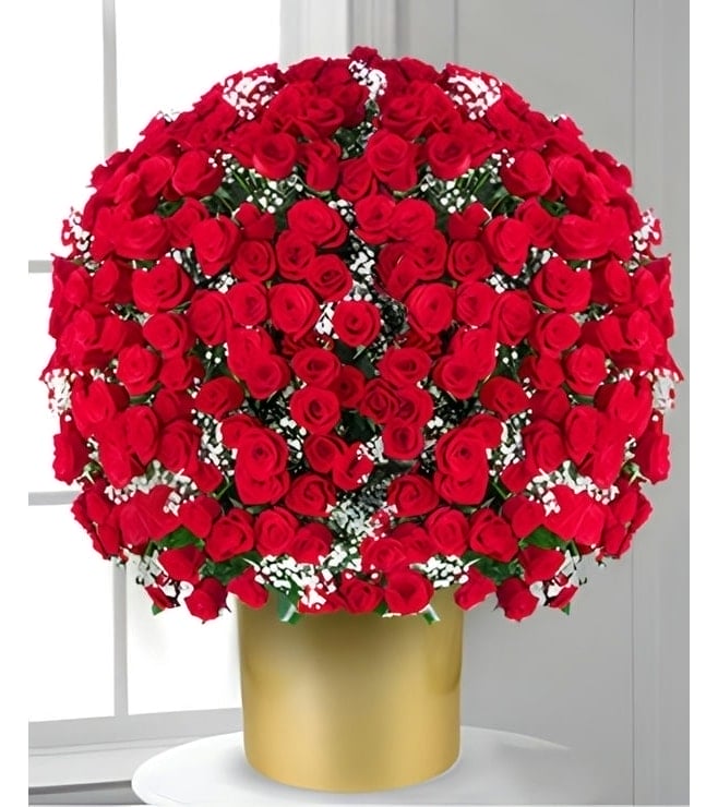 500 Red Roses, SUPER DEALS